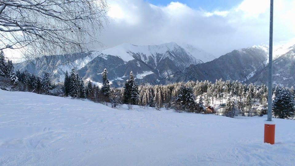 Dodo Japaridze Guesthouse Mestia Kültér fotó