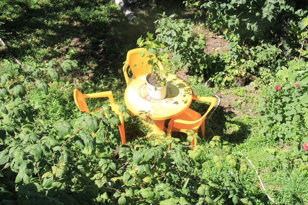 Dodo Japaridze Guesthouse Mestia Kültér fotó